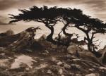 Paul Kozal art print