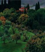 Christopher Young art print