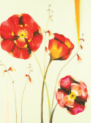 Julia Ogden art print