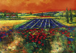 Rhanavardkar Madjid art print