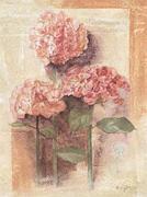 Anne Gardner art print