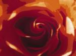 Tasmin Phoenix art print