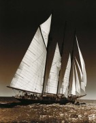Bill Philip art print