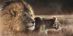 Renato Casaro art print