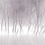 Adam Brock art print