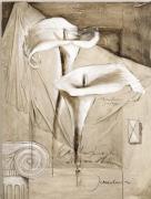 Joadoor art print