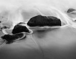 Tom Weber art print