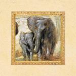 Joadoor art print