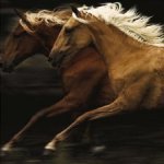 Tony Stromberg art print