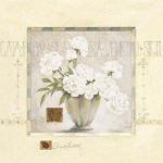 Claudio Ancilotti art print