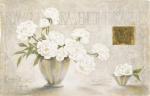 Claudio Ancilotti art print