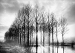 Bill Philip art print