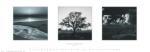 Ansel Adams art print