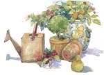 Dawna Barton art print