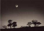 Paul Kozal art print