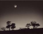 Paul Kozal art print