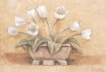 Tara King art print