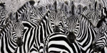Renato Casaro art print