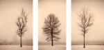 Paul Kozal art print