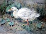 Edwin Alexander art print