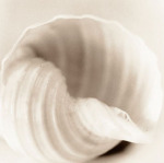 Alan Blaustein art print