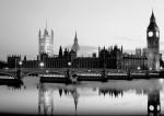 The Monochrome Gallery art print