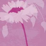 Kate Knight art print