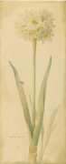 Danhui Nai art print