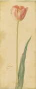 Danhui Nai art print