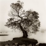 Alan Blaustein art print