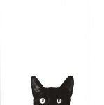 Jon Bertelli art print