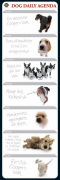 Anonymous art print