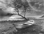 Olivier M�riel art print