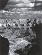 The Monochrome Gallery art print