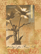 Anonymous art print