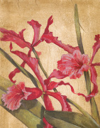 Liz Jardine art print