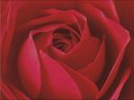 Prisma art print