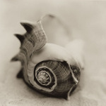 Alan Blaustein art print