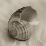 Alan Blaustein art print