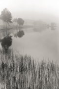 Monte Nagler art print