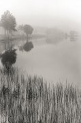 Monte Nagler art print