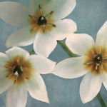 Janel Pahl art print
