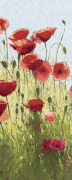 Shirley Novak art print
