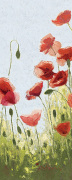 Shirley Novak art print