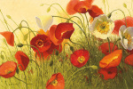 Shirley Novak art print
