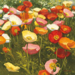 Shirley Novak art print