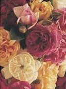Thea Schrack art print