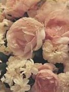 Thea Schrack art print