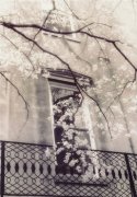 Thea Schrack art print