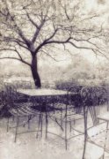 Thea Schrack art print